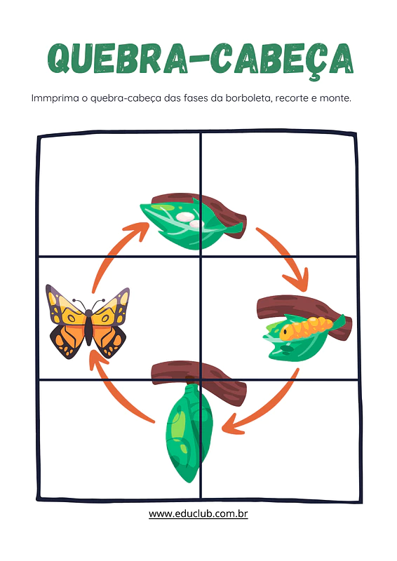 Ciclo de vida da borboleta para Educação Infantil: atividades para ...
